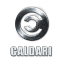 Caldari Caldari