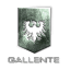 Gallente Gallente