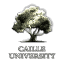 University of Caille University of Caille